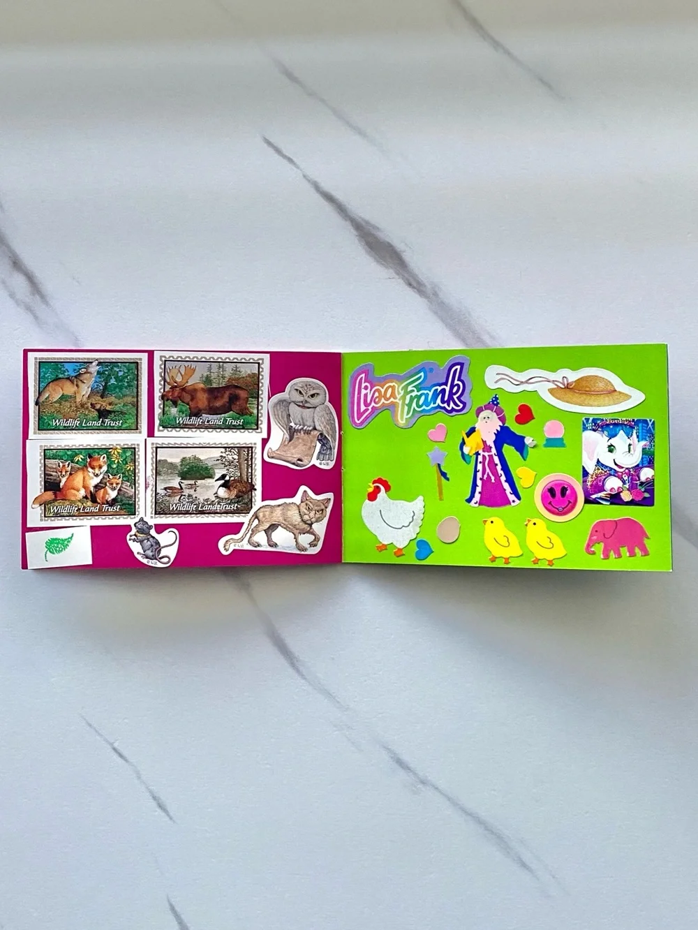 VTG Lisa Frank Hunter leopard small used sticker collection booklet